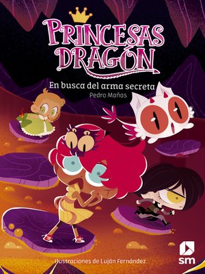 cover image of Princesas Dragón 13